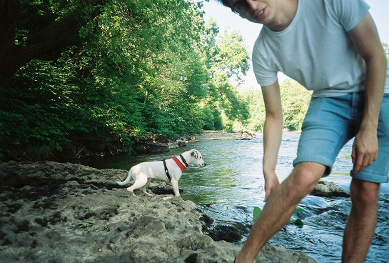 maxidog